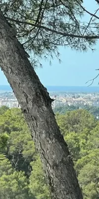 Villa Exquise Dans L’urbanisation Sécurisée ‘Can Furnet’ Près De La Ville D’Ibiza