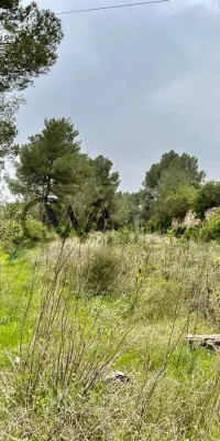 Exceptional Rustic Land with Building License near Santa Gertrudis