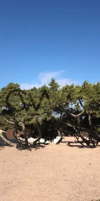 Wunderschöne Villa auf der bezaubernden Insel Formentera