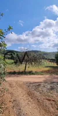 Prime Building Plot in Santa Gertrudis, Ibiza  for sale – An Exclusive Opportunity