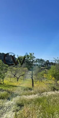 Ruine for sale in San Rafael Ibiza – Rebuild a rustic gem in this fantastic location