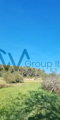 Two contiguous building plots for sale in Santa Gertrudis