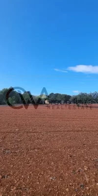 Two contiguous building plots for sale in Santa Gertrudis