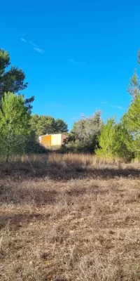 Three building plots in Santa Gertrudis – prime investment opportunity!