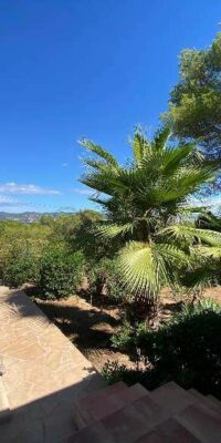 Very well-kept house in finca style