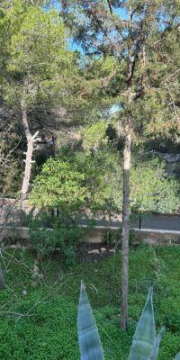 Affascinante casa a Cala Vadella con ampio terreno